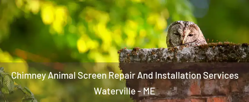  Chimney Animal Screen Repair And Installation Services Waterville - ME