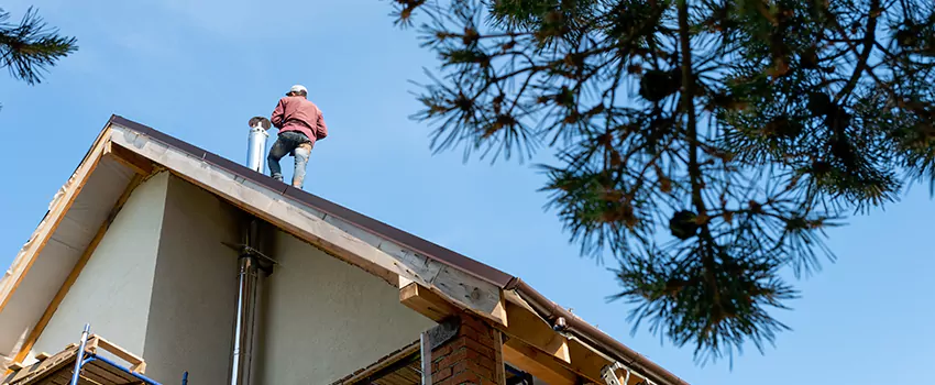 Birds Removal Contractors from Chimney in Waterville, ME